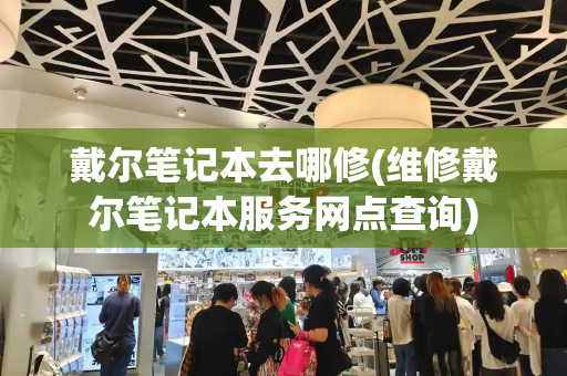 戴尔笔记本去哪修(维修戴尔笔记本服务网点查询)