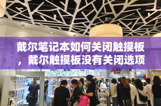 戴尔笔记本如何关闭触摸板，戴尔触摸板没有关闭选项