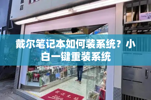戴尔笔记本如何装系统？小白一键重装系统