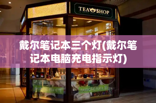 戴尔笔记本三个灯(戴尔笔记本电脑充电指示灯)-第1张图片-星选测评