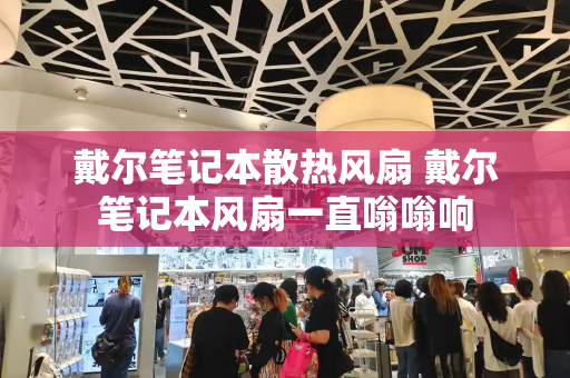 戴尔笔记本散热风扇 戴尔笔记本风扇一直嗡嗡响