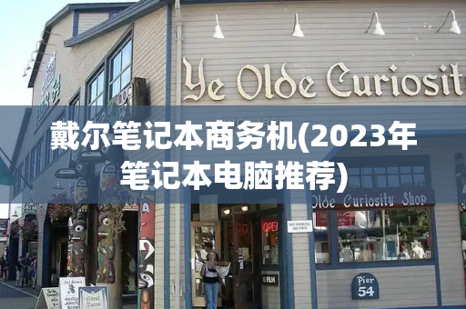 戴尔笔记本商务机(2023年笔记本电脑推荐)-第1张图片-星选测评