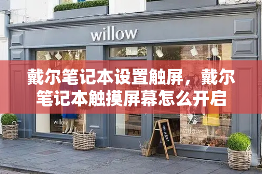 戴尔笔记本设置触屏，戴尔笔记本触摸屏幕怎么开启-第1张图片-星选测评