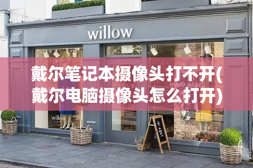 戴尔笔记本摄像头打不开(戴尔电脑摄像头怎么打开)