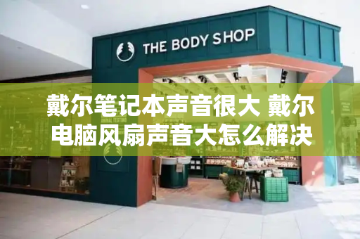戴尔笔记本声音很大 戴尔电脑风扇声音大怎么解决