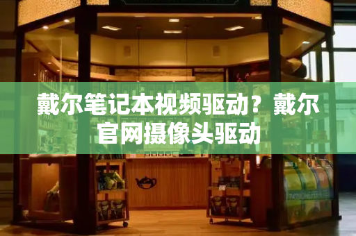 戴尔笔记本视频驱动？戴尔官网摄像头驱动-第1张图片-星选测评