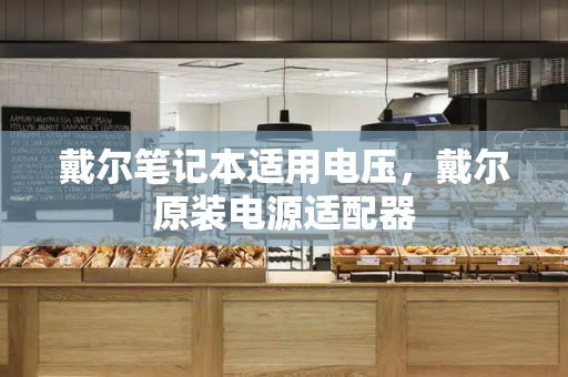 戴尔笔记本适用电压，戴尔原装电源适配器