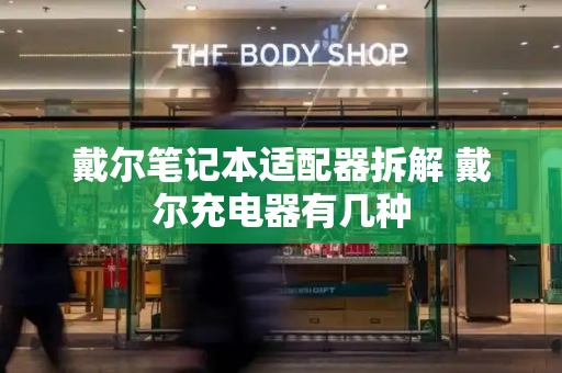 戴尔笔记本适配器拆解 戴尔充电器有几种-第1张图片-星选测评