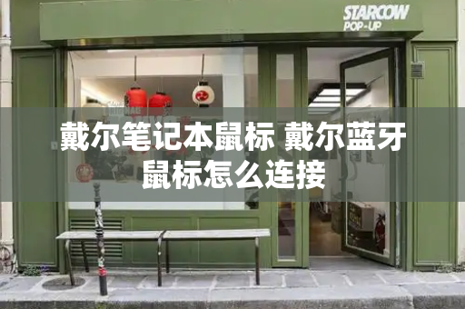 戴尔笔记本鼠标 戴尔蓝牙鼠标怎么连接-第1张图片-星选测评