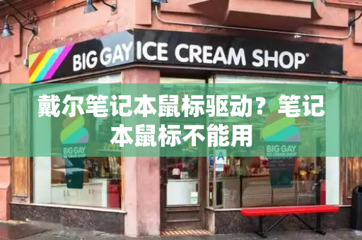 戴尔笔记本鼠标驱动？笔记本鼠标不能用-第1张图片-星选测评