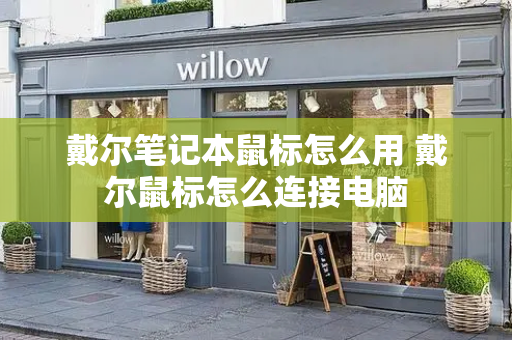 戴尔笔记本鼠标怎么用 戴尔鼠标怎么连接电脑-第1张图片-星选测评