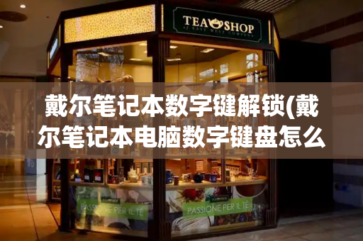 戴尔笔记本数字键解锁(戴尔笔记本电脑数字键盘怎么解锁)