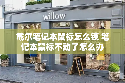 戴尔笔记本鼠标怎么锁 笔记本鼠标不动了怎么办
