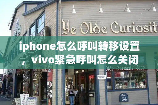 iphone怎么呼叫转移设置，vivo紧急呼叫怎么关闭