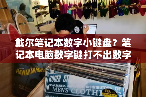 戴尔笔记本数字小键盘？笔记本电脑数字键打不出数字-第1张图片-星选测评