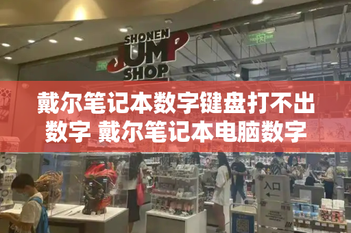 戴尔笔记本数字键盘打不出数字 戴尔笔记本电脑数字键盘用不了-第1张图片-星选测评