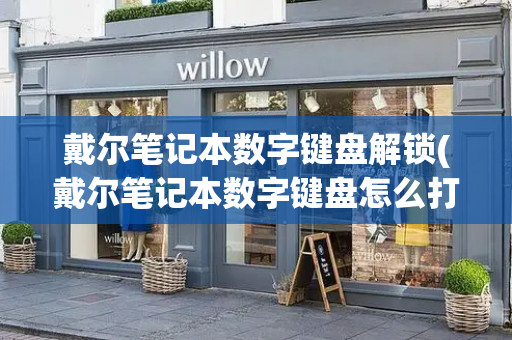 戴尔笔记本数字键盘解锁(戴尔笔记本数字键盘怎么打开)