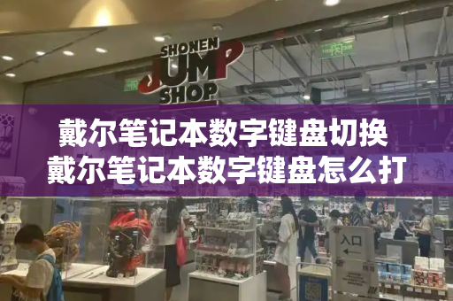 戴尔笔记本数字键盘切换 戴尔笔记本数字键盘怎么打开-第1张图片-星选测评