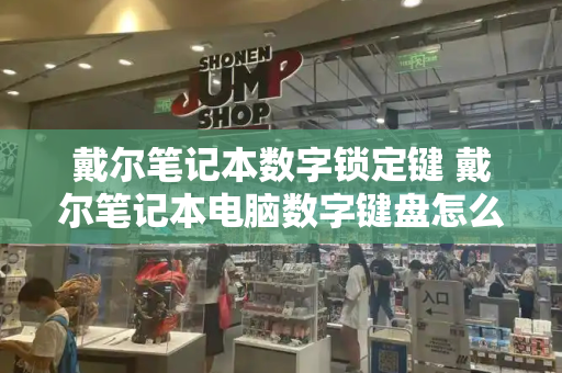 戴尔笔记本数字锁定键 戴尔笔记本电脑数字键盘怎么解锁-第1张图片-星选测评