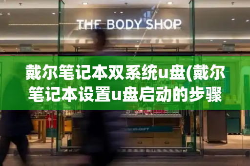 戴尔笔记本双系统u盘(戴尔笔记本设置u盘启动的步骤)-第1张图片-星选测评
