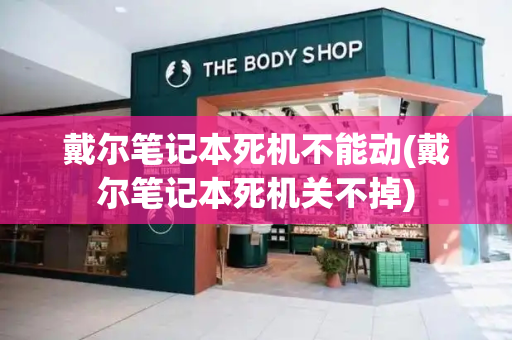 戴尔笔记本死机不能动(戴尔笔记本死机关不掉)