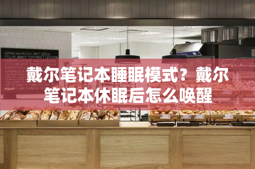 戴尔笔记本睡眠模式？戴尔笔记本休眠后怎么唤醒-第1张图片-星选测评
