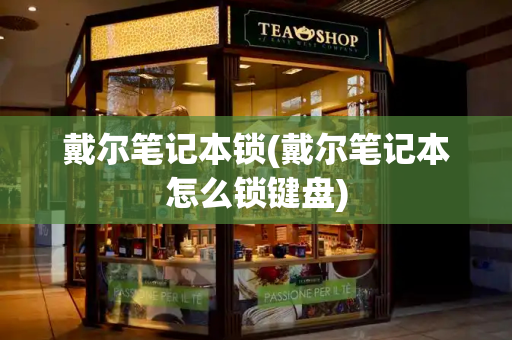 戴尔笔记本锁(戴尔笔记本怎么锁键盘)-第1张图片-星选测评