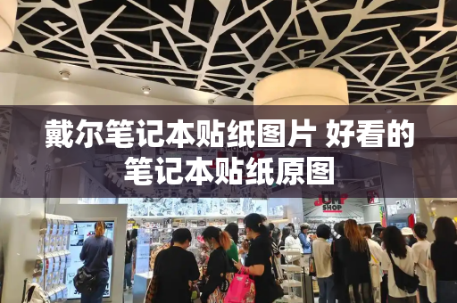 戴尔笔记本贴纸图片 好看的笔记本贴纸原图-第1张图片-星选测评