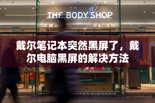 戴尔笔记本突然黑屏了，戴尔电脑黑屏的解决方法-第1张图片-星选测评