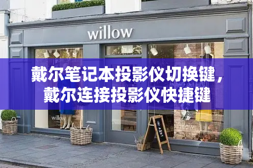 戴尔笔记本投影仪切换键，戴尔连接投影仪快捷键-第1张图片-星选测评