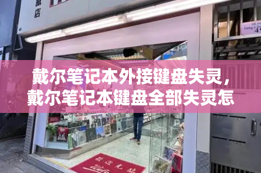 戴尔笔记本外接键盘失灵，戴尔笔记本键盘全部失灵怎么回事