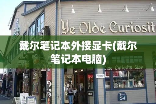 戴尔笔记本外接显卡(戴尔笔记本电脑)-第1张图片-星选测评