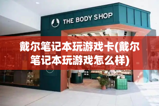 戴尔笔记本玩游戏卡(戴尔笔记本玩游戏怎么样)