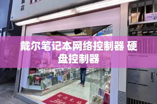 戴尔笔记本网络控制器 硬盘控制器-第1张图片-星选测评