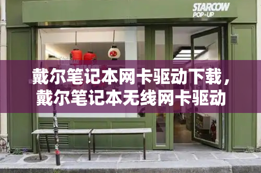 戴尔笔记本网卡驱动下载，戴尔笔记本无线网卡驱动-第1张图片-星选测评