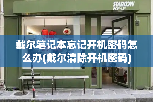 戴尔笔记本忘记开机密码怎么办(戴尔清除开机密码)-第1张图片-星选测评