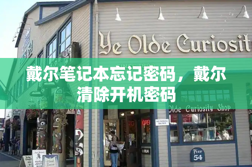 戴尔笔记本忘记密码，戴尔清除开机密码-第1张图片-星选测评