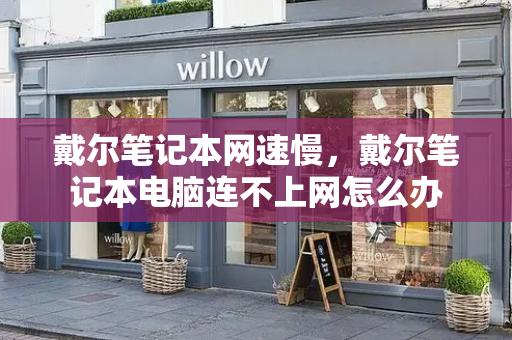 戴尔笔记本网速慢，戴尔笔记本电脑连不上网怎么办-第1张图片-星选测评