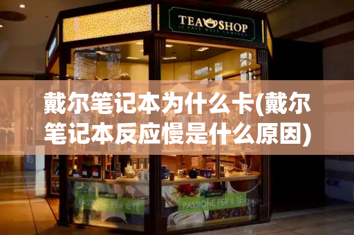 戴尔笔记本为什么卡(戴尔笔记本反应慢是什么原因)-第1张图片-星选测评