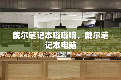 戴尔笔记本嗡嗡响，戴尔笔记本电脑