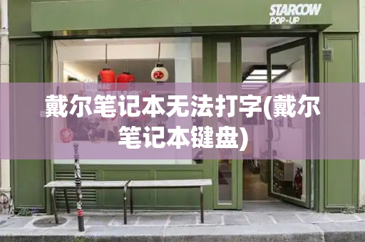 戴尔笔记本无法打字(戴尔笔记本键盘)