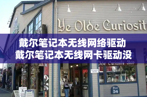 戴尔笔记本无线网络驱动 戴尔笔记本无线网卡驱动没有了怎么办-第1张图片-星选测评