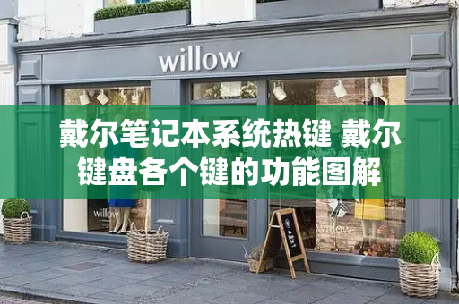戴尔笔记本系统热键 戴尔键盘各个键的功能图解-第1张图片-星选测评