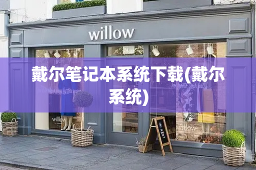 戴尔笔记本系统下载(戴尔系统)-第1张图片-星选测评