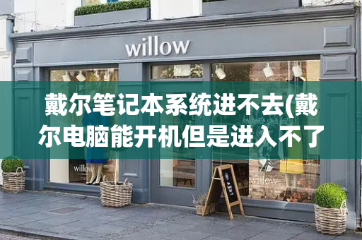戴尔笔记本系统进不去(戴尔电脑能开机但是进入不了页面)
