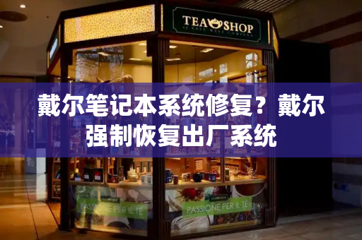 戴尔笔记本系统修复？戴尔强制恢复出厂系统-第1张图片-星选测评