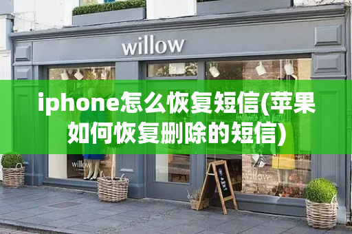 iphone怎么恢复短信(苹果如何恢复删除的短信)-第1张图片-星选测评