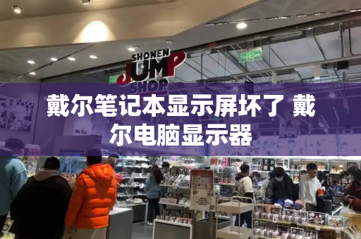 戴尔笔记本显示屏坏了 戴尔电脑显示器