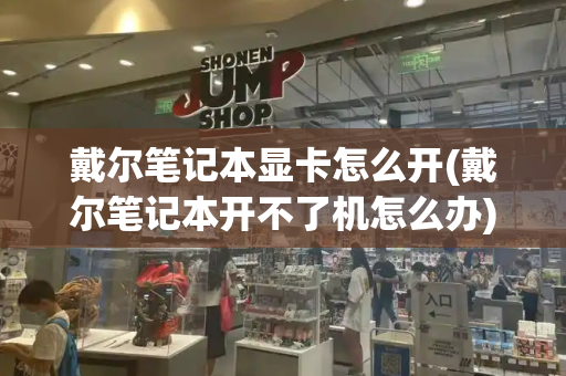 戴尔笔记本显卡怎么开(戴尔笔记本开不了机怎么办)-第1张图片-星选测评