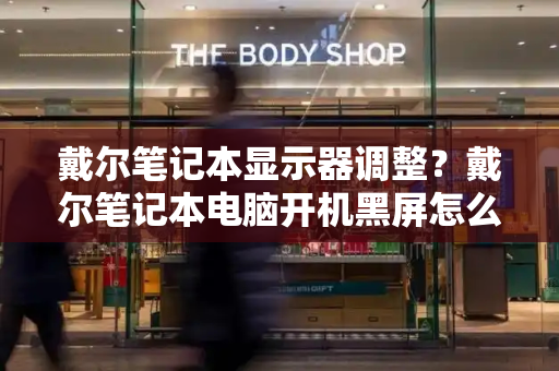 戴尔笔记本显示器调整？戴尔笔记本电脑开机黑屏怎么办-第1张图片-星选测评